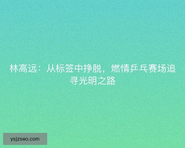 林高远：从标签中挣脱，燃情乒乓赛场追寻光明之路